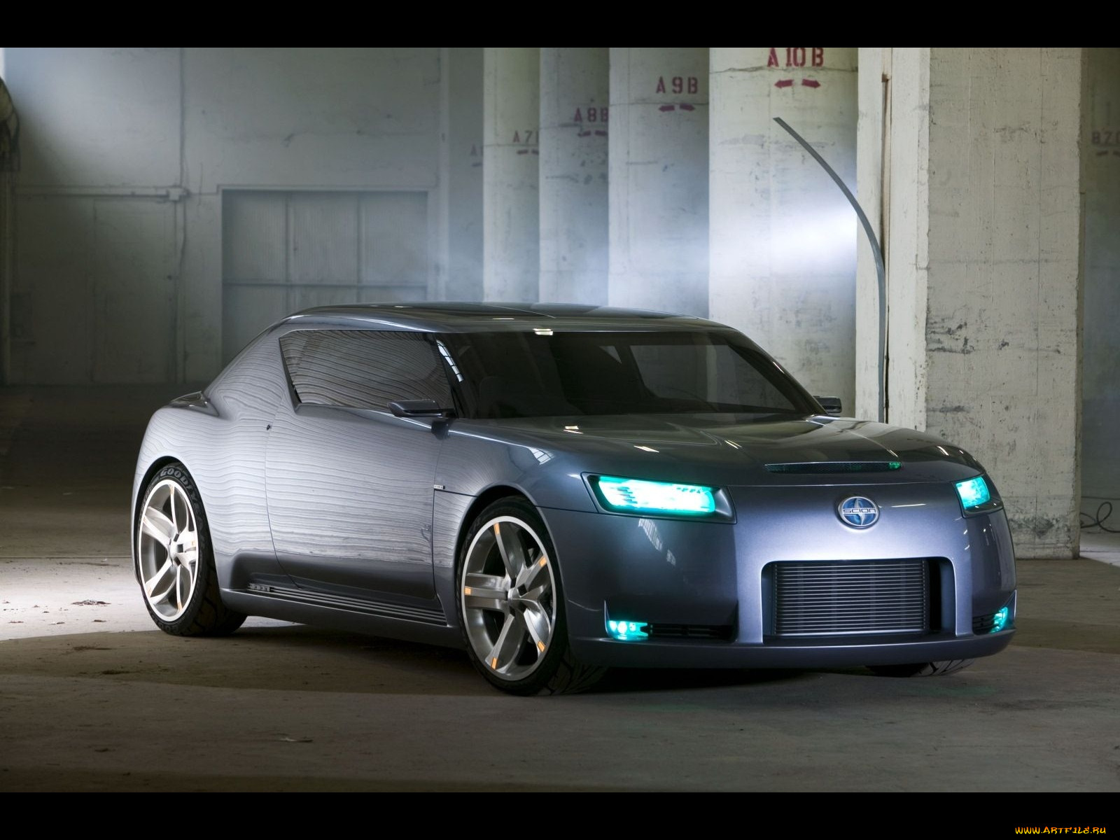 , scion